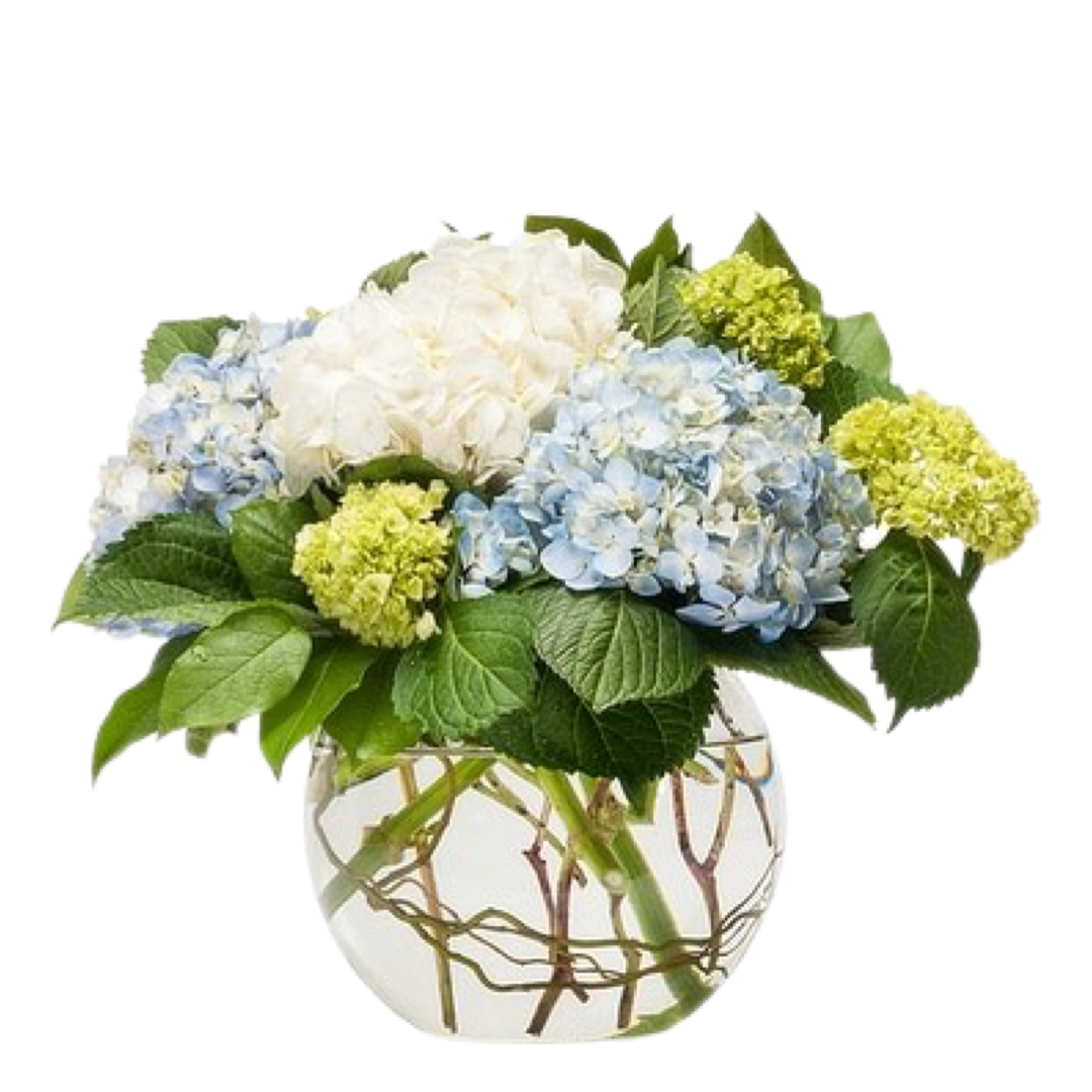 Hydrangea Vase Flower Arrangement – Flower Spot